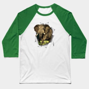 African Elephants Baseball T-Shirt